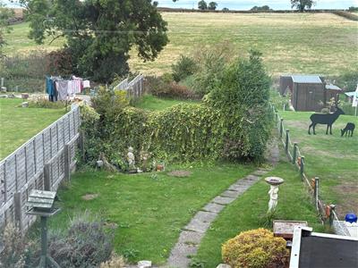 Picture 18